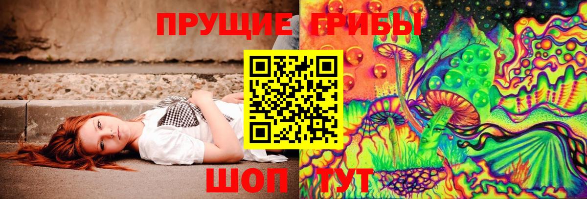 Псилоцибиновые грибы мицелий Павлово