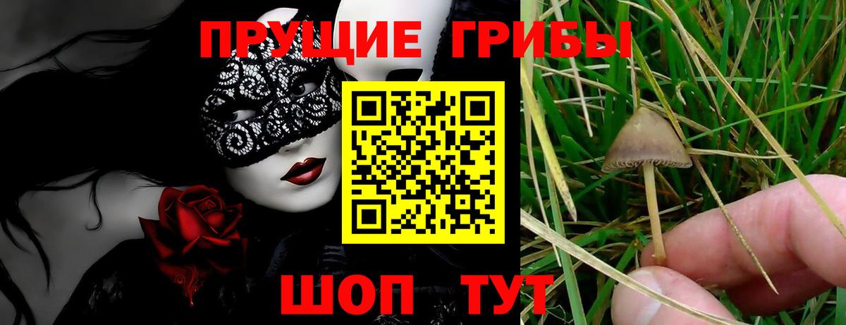 Галлюциногенные грибы ЛСД  Вход с VPN  Псилоцибиновые грибы прущие грибы  Павлово 